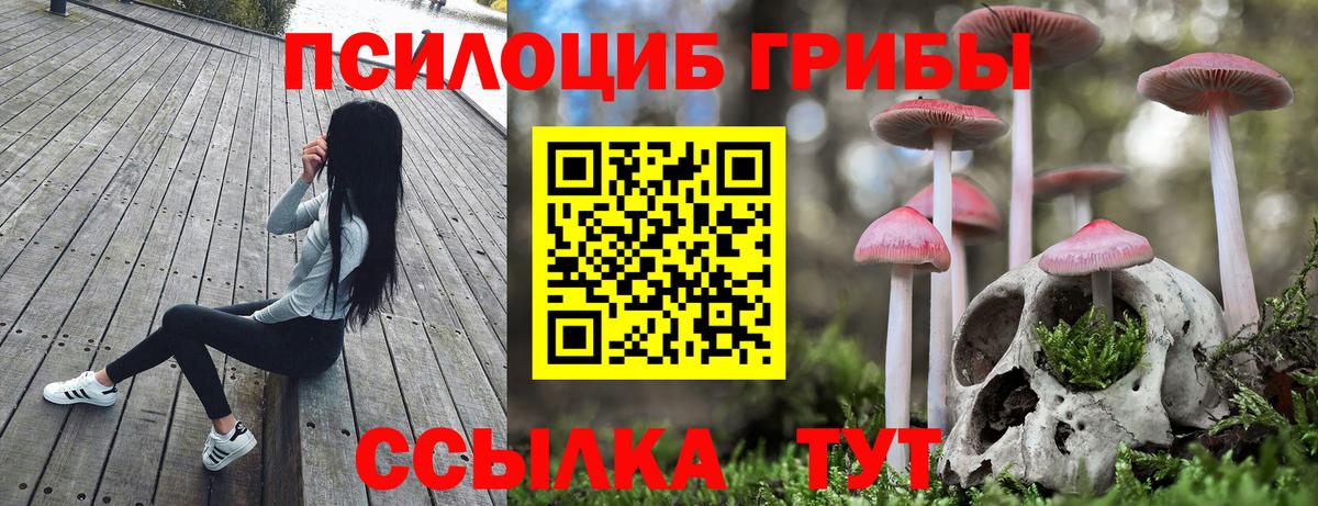 Галлюциногенные грибы GOLDEN TEACHER  Псилоцибиновые грибы GOLDEN TEACHER  Камышлов  Вход с VPN 